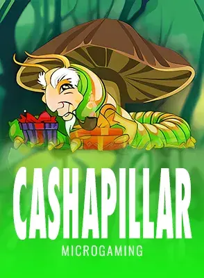 Cashapillar